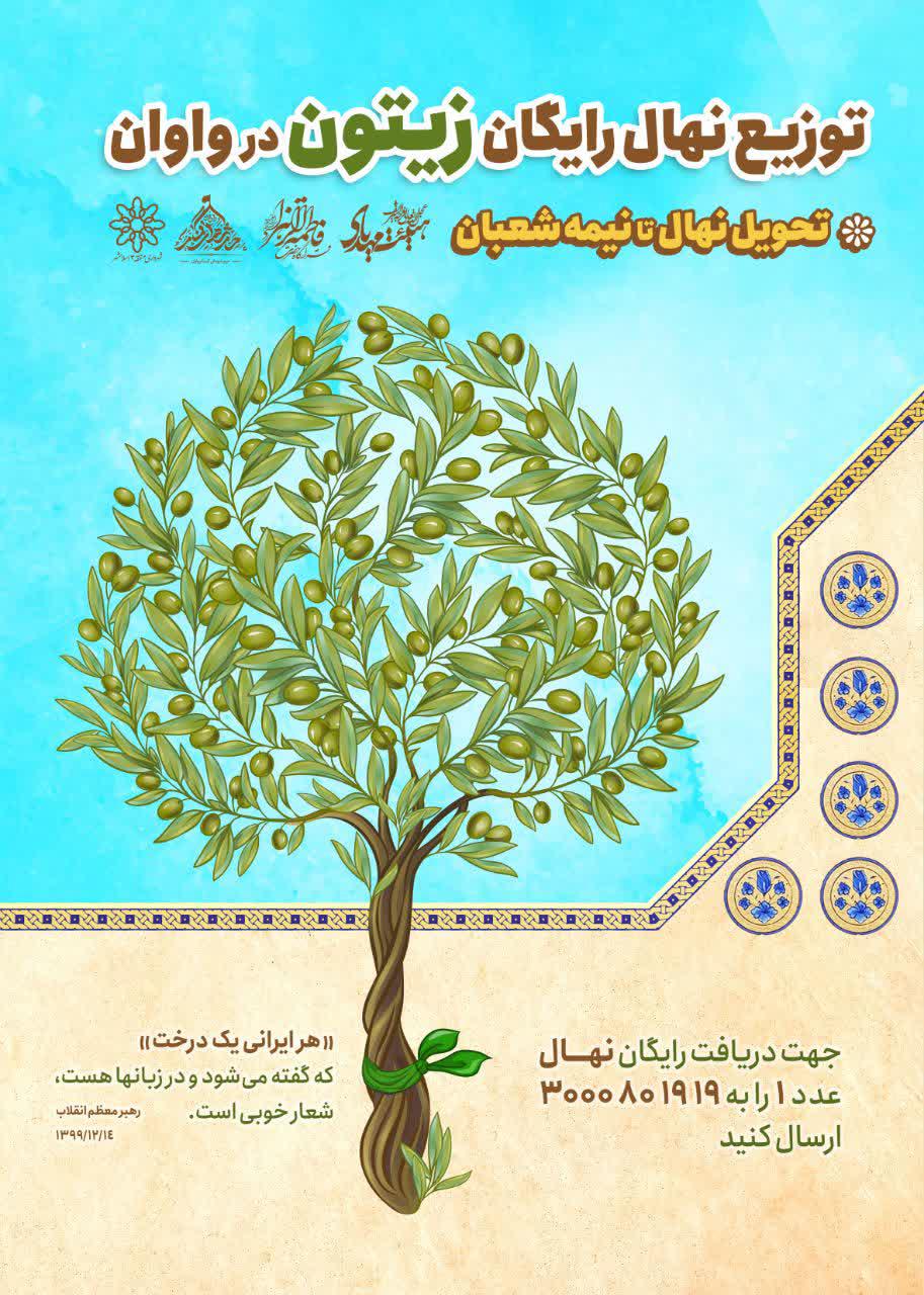 فراخوان | توزیع رایگان نهال زیتون