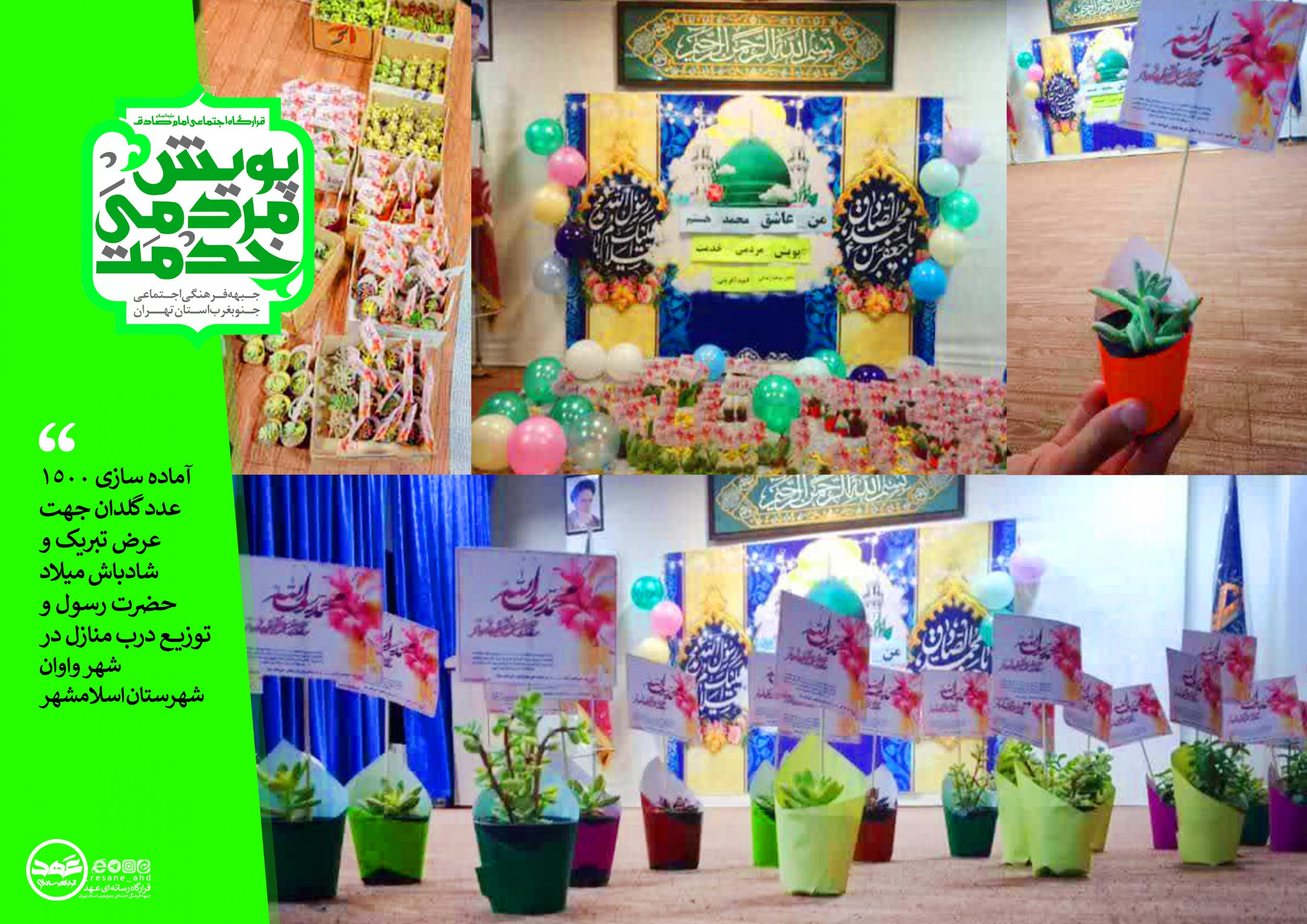 آماده سازی ۱۵۰۰ عدد گلدان